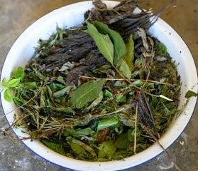 Ben’y makaya large